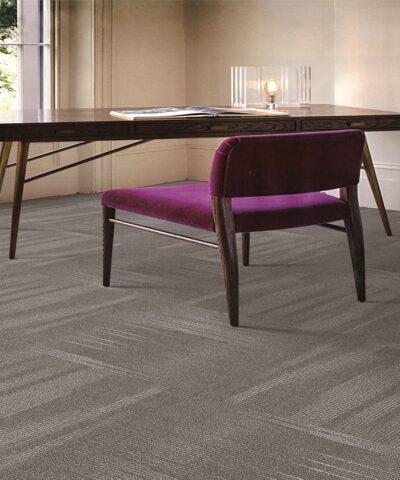 AMZ Signature Colourpoint Saal05 Aline Grey