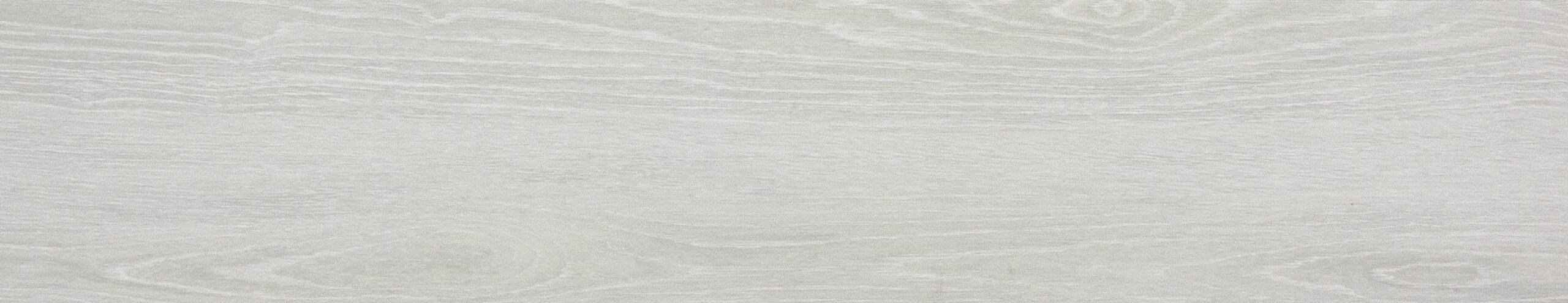 CV2-3011-Downy-Birch-8