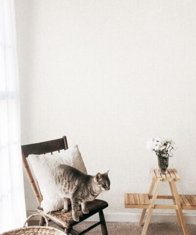 E-Room Vol 5/6 2089-2