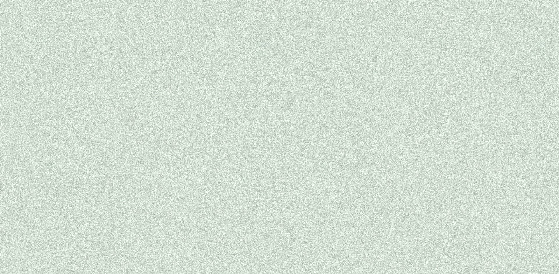 Kara / Kara 17/18 & 18/19 & 20/21 2205-6