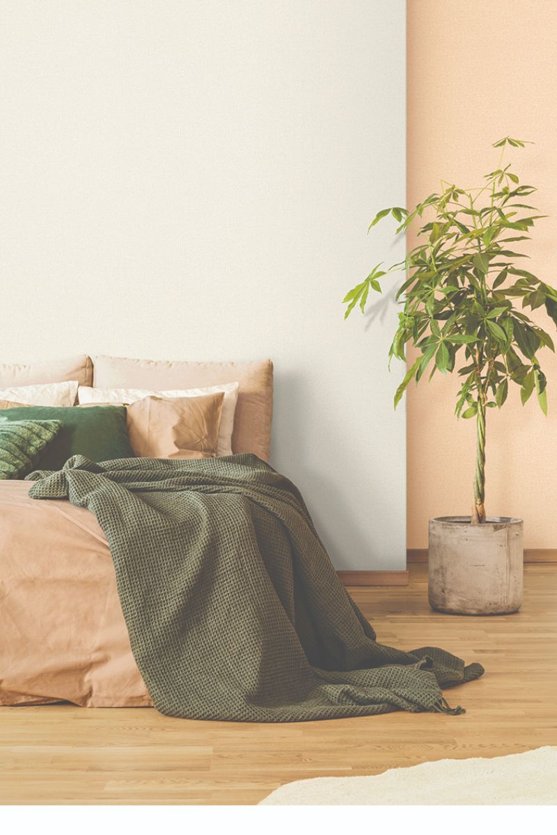 Kara 2021/23/24 2302-2