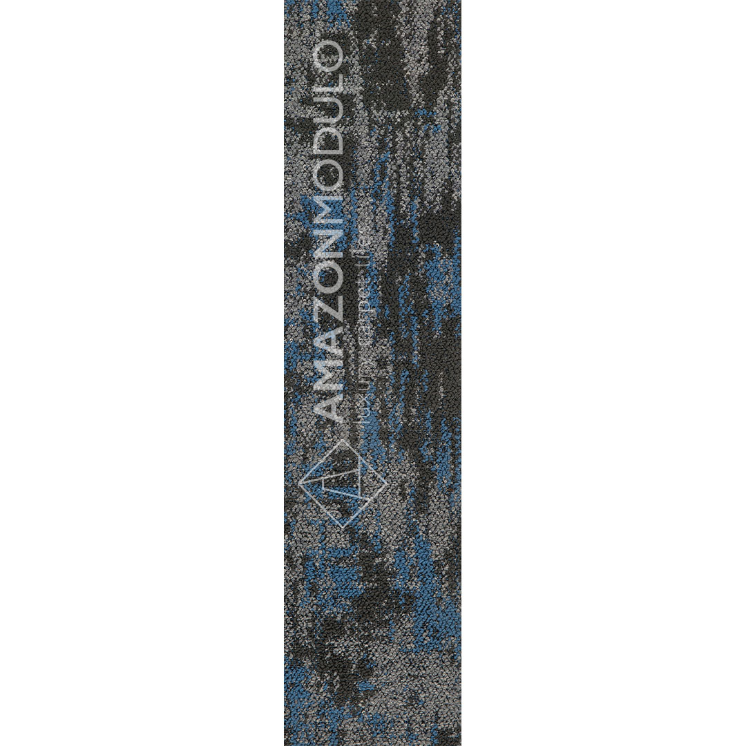 M9009-2-capture-carolina-8