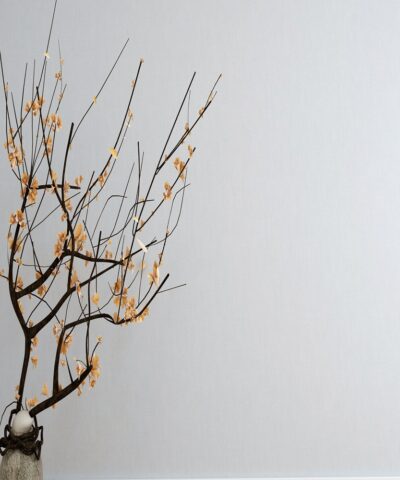 Muji House S2-3