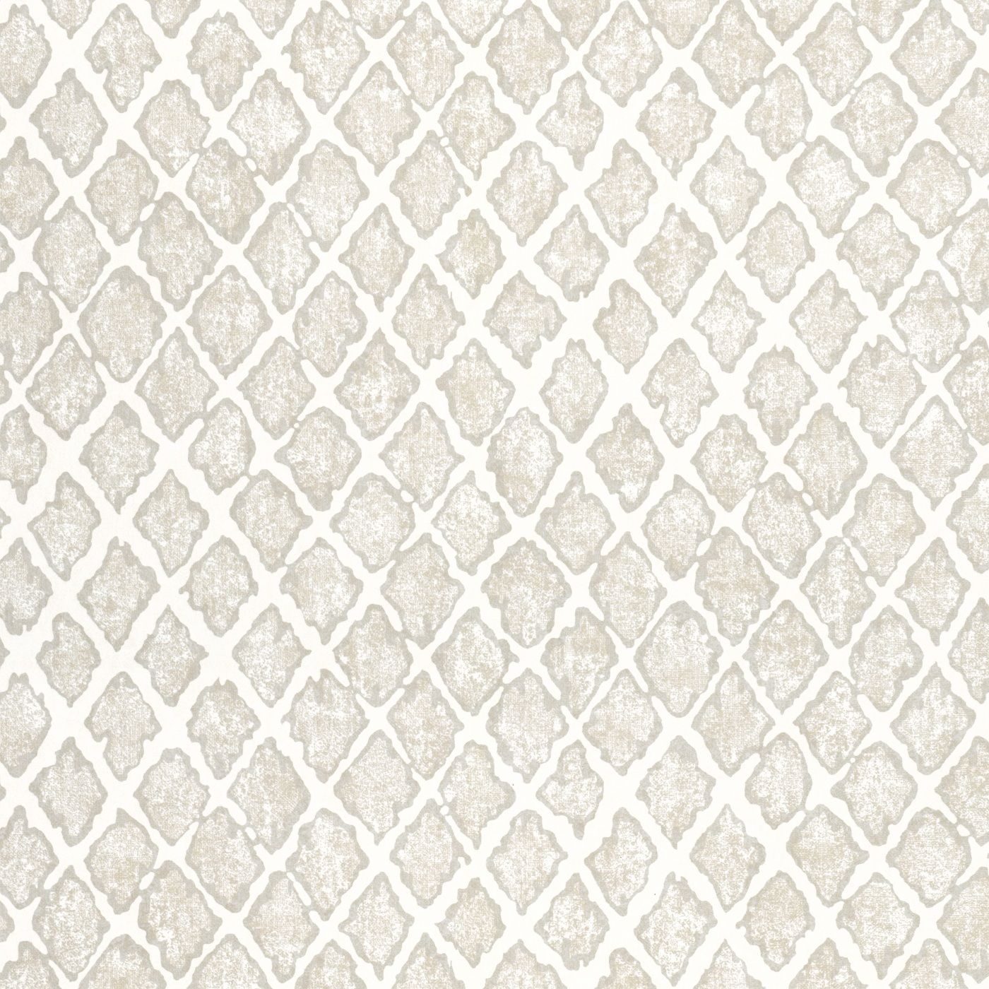 Padua 56125