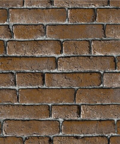 Rock Dv1446