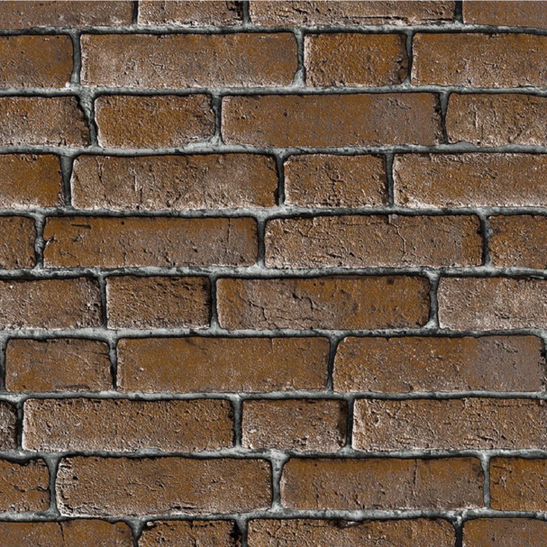 Rock Dv1446