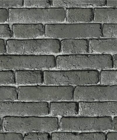 Rock Dv1447