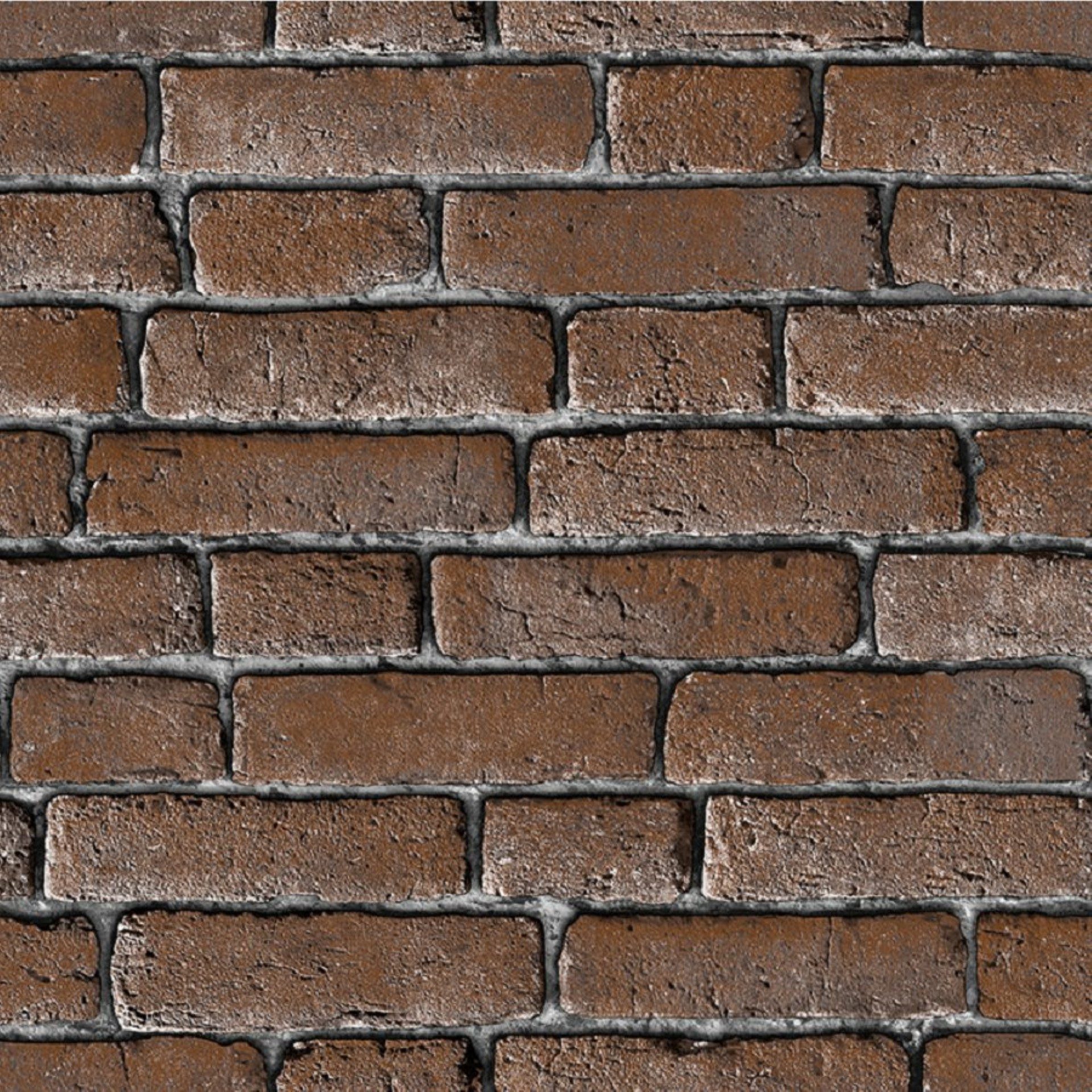 Rock Dv1448