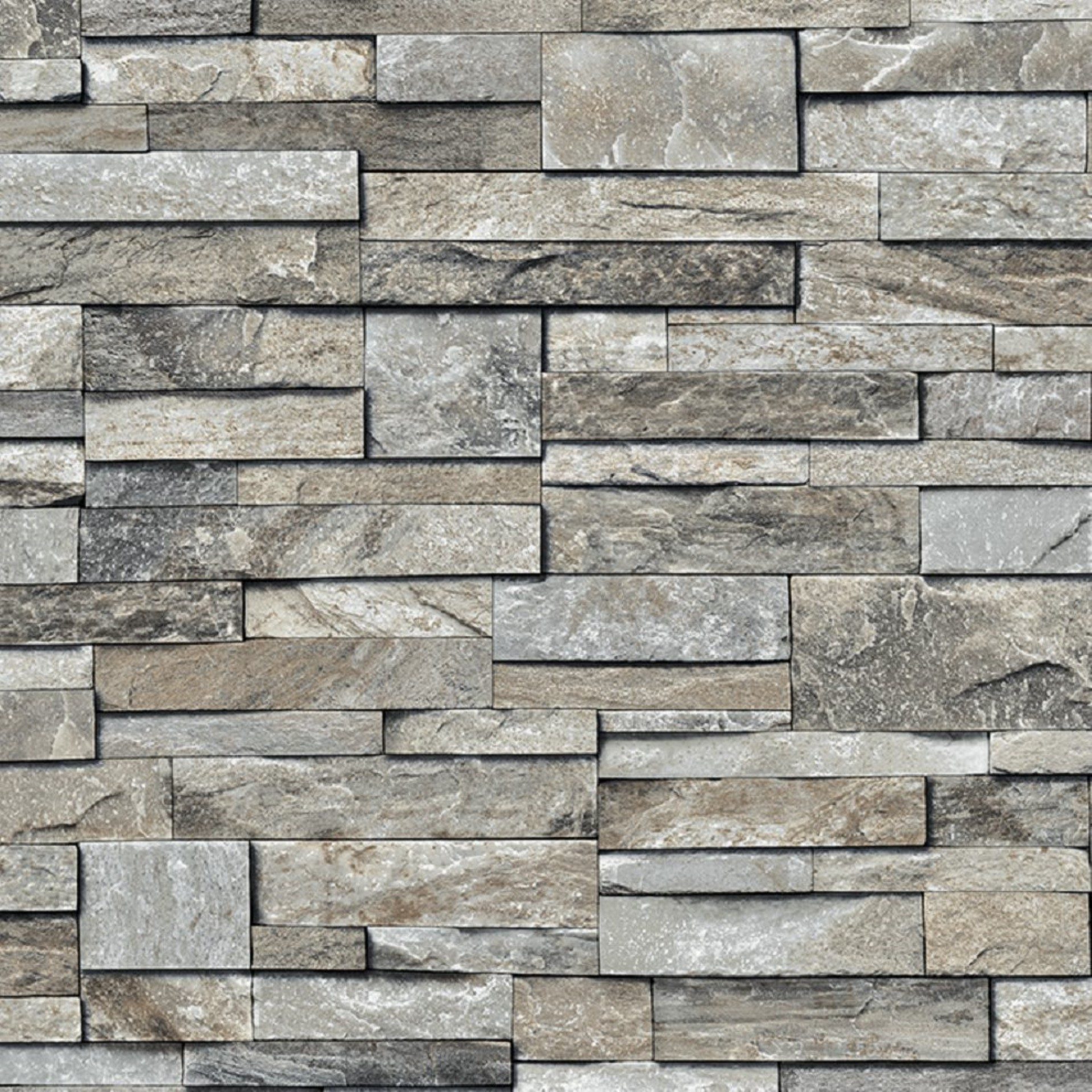 Rock Dv1494
