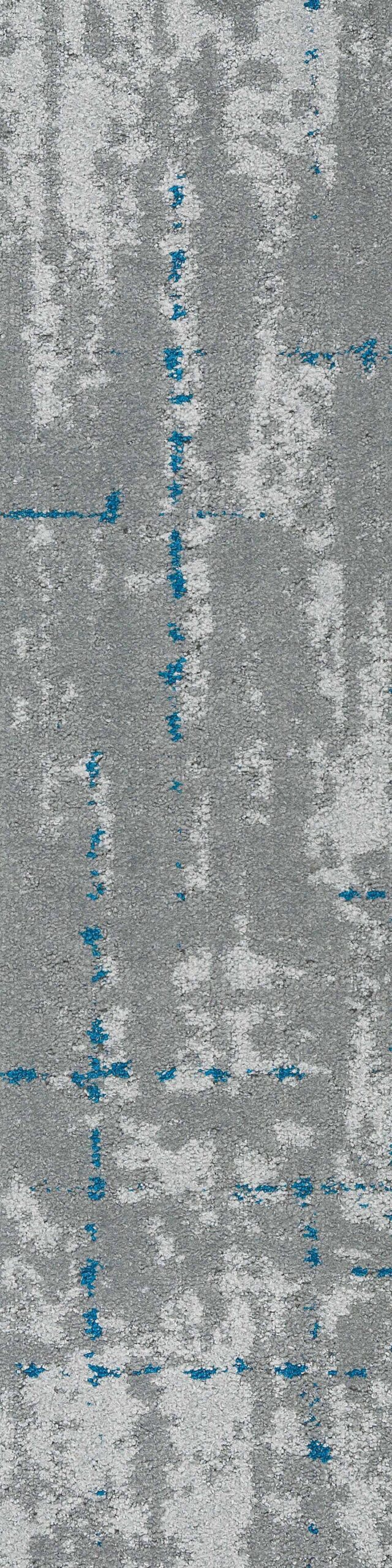 SAMN04-morph-blue-min-8