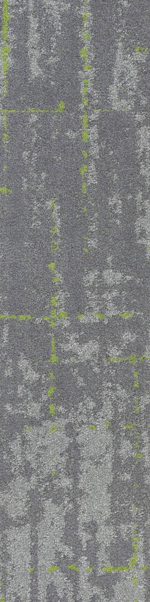 SAMN05-morph-lush-min-8