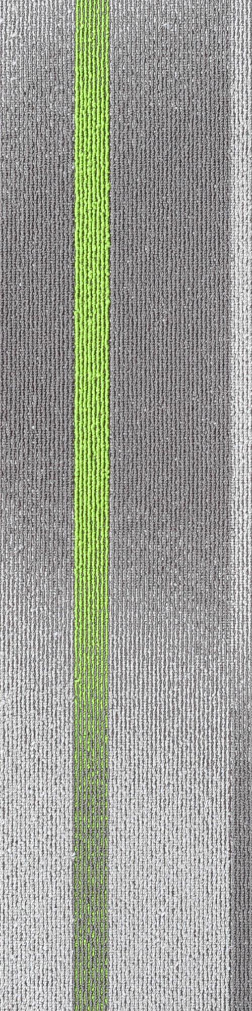 SHCV02-B-Civic-Green-8