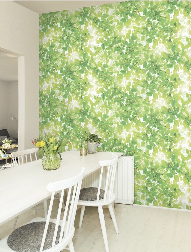 Signature Korea 10201-1