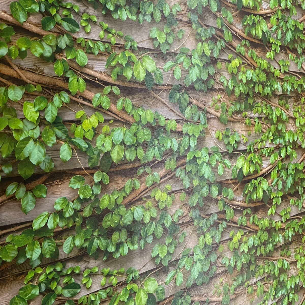 SIGN-K-10203-1-closeup