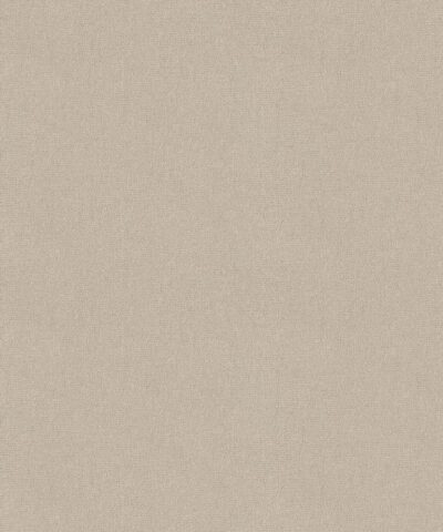 Stella Ii – 10169-4
